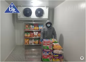 Cold Room Freezers for Meat and Fruits: Integrated Solutions for Quality and Efficiency